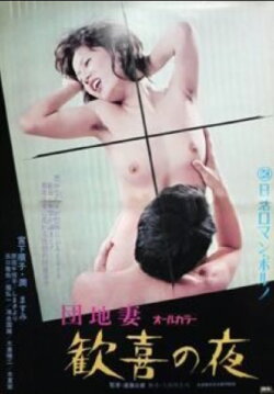 Apartment Wife: Night of Pleasure (1973)