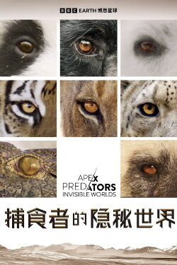 Apex Predators: Invisible Worlds (2024) Apex Predators: Invisible Worlds (2024)
