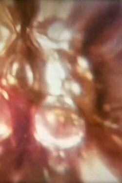 Aphrodisiac I (1971) Aphrodisiac I (1971)