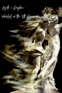 Apollo e Daphne reloaded in the 4th dimension (2010) Apollo e Daphne reloaded in the 4th dimension (2010)