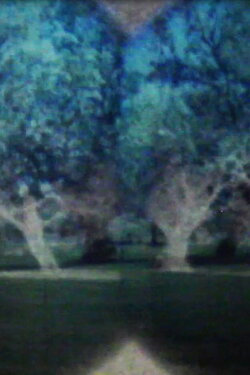 Apparitions (2016)