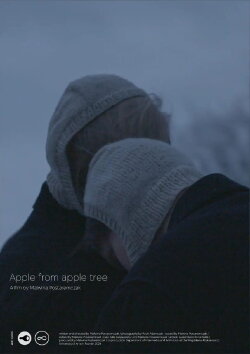 Apple from apple tree (2024)