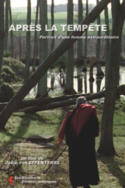 Après la tempête (2001)