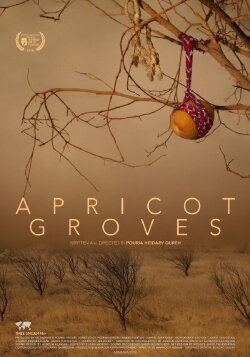 Apricot Groves (2017) Apricot Groves (2017)