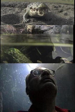 Aquatica (2000)