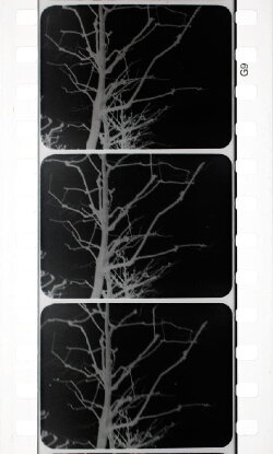 Arborescent Games: Fugue in Minor (1931)