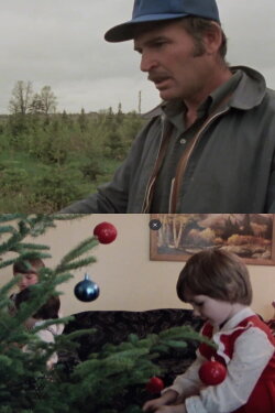 Arbres de Noël à vendre (1981)