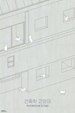 Architecture & Cats (2023)
