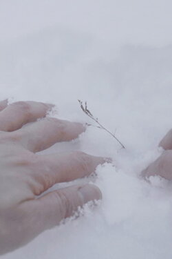 Arctic Garden (2024)