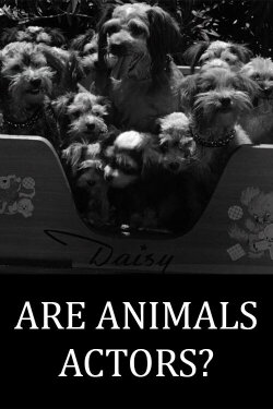 Are Animals Actors? (1945) Are Animals Actors? (1945)