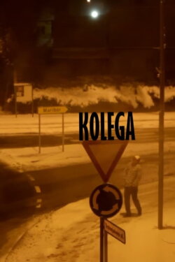 Are We Still Coleagues? (2013) Are We Still Coleagues? (2013)