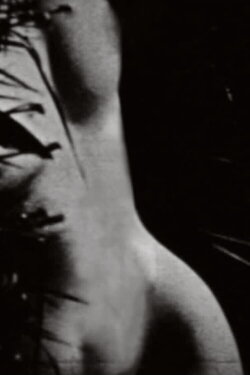 Ariel loquitur (1967) Ariel loquitur (1967)