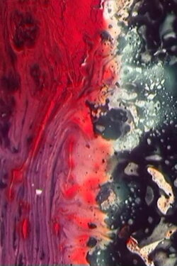 Arise Like A Fire (1972)