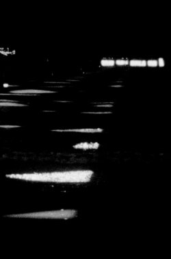 Around Low Tide (2020)