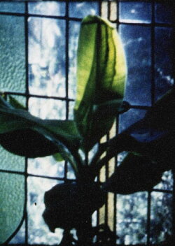 Articulated Image (1996)