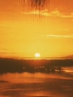Artificial Paradise (1975)