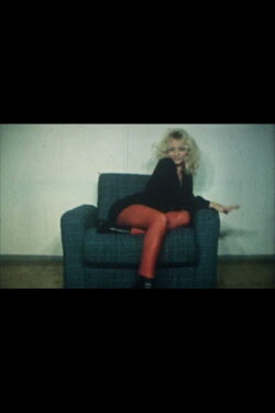 Artificial Reality (1976)