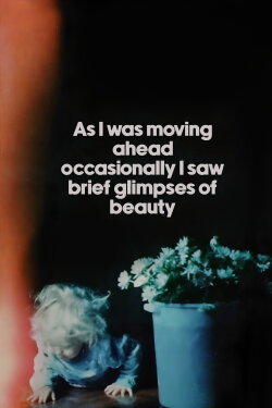 As I Was Moving Ahead, Occasionally I Saw Brief Glimpses of Beauty (2000) As I Was Moving Ahead, Occasionally I Saw Brief Glimpses of Beauty (2000)
