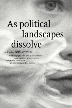 As political landscapes dissolve (2023)