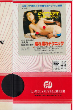 Asami Ogawa: Female SEX Counselor, Wet Technique (1981)