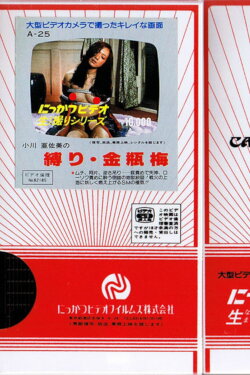 Asami Ogawa's Binding: Jin Ping Mei (1982)