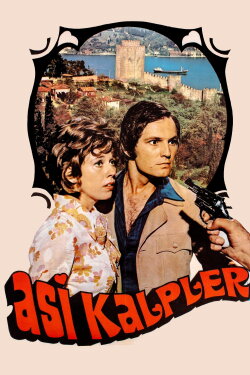 Asi Kalpler (1972) Asi Kalpler (1972)