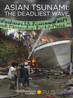 Asian Tsunami: The Deadliest Wave (2014) Asian Tsunami: The Deadliest Wave (2014)