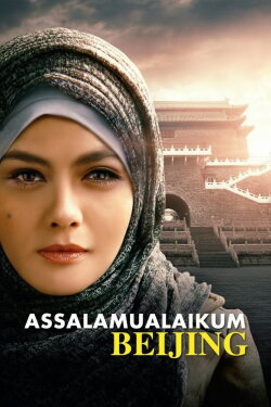 Assalamualaikum Beijing (2014) Assalamualaikum Beijing (2014)