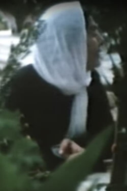 Assassination of a City (1977) Assassination of a City (1977)