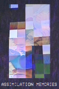 Assimilation Memories (2020)