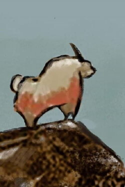 Asterión (2019)