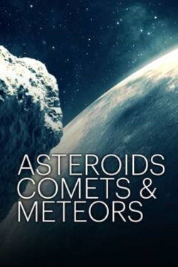 Asteroids, Comets, and Meteors (2015)