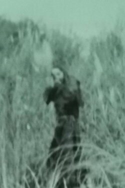 Aswang 1933 (2017)