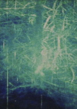 At a Same Time, Exposed Both Sides (1990)