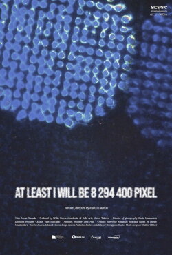 At Least I Will Be 8 294 400 Pixel (2024)