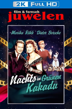At the Green Cockatoo by Night (1957)