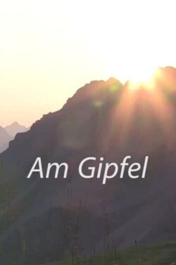 At the Top (2014)
