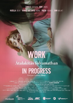 Átalakítás Folyamatban (2018) Átalakítás Folyamatban (2018)