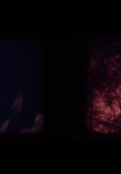 Ataraxie I (1977) Ataraxie I (1977)