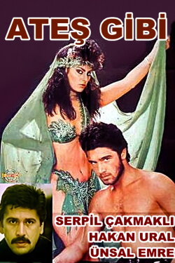 Ateş Gibi (1988) Ateş Gibi (1988)