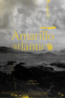 Atlantic Yellow (2022)