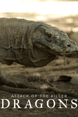Attack of the Killer Dragons (2016) Attack of the Killer Dragons (2016)