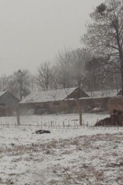 Attacking Zhanggao Village (2012)