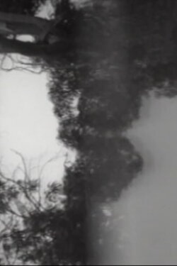 Attention, Focus, and Motion (1975) Attention, Focus, and Motion (1975)
