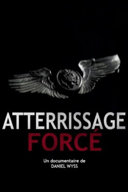 Atterrissage forcé (2015)