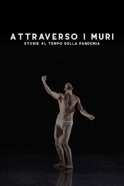Attraverso i muri - Storie al tempo della pandemia (2021) Attraverso i muri - Storie al tempo della pandemia (2021)