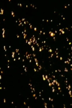 Au Bon Ceps (1987) Au Bon Ceps (1987)
