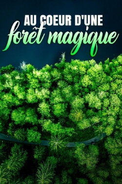 Au cœur d'une forêt magique (2023) Au cœur d'une forêt magique (2023)
