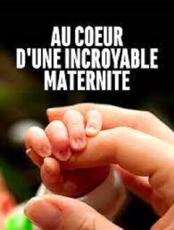 Au cœur d'une incroyable maternité (2021) Au cœur d'une incroyable maternité (2021)
