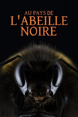 Au pays de l'abeille noire (2023) Au pays de l'abeille noire (2023)